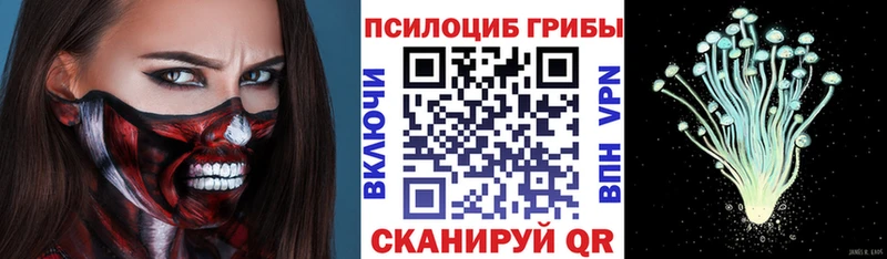 Галлюциногенные грибы прущие грибы  где можно купить   Лаишево 